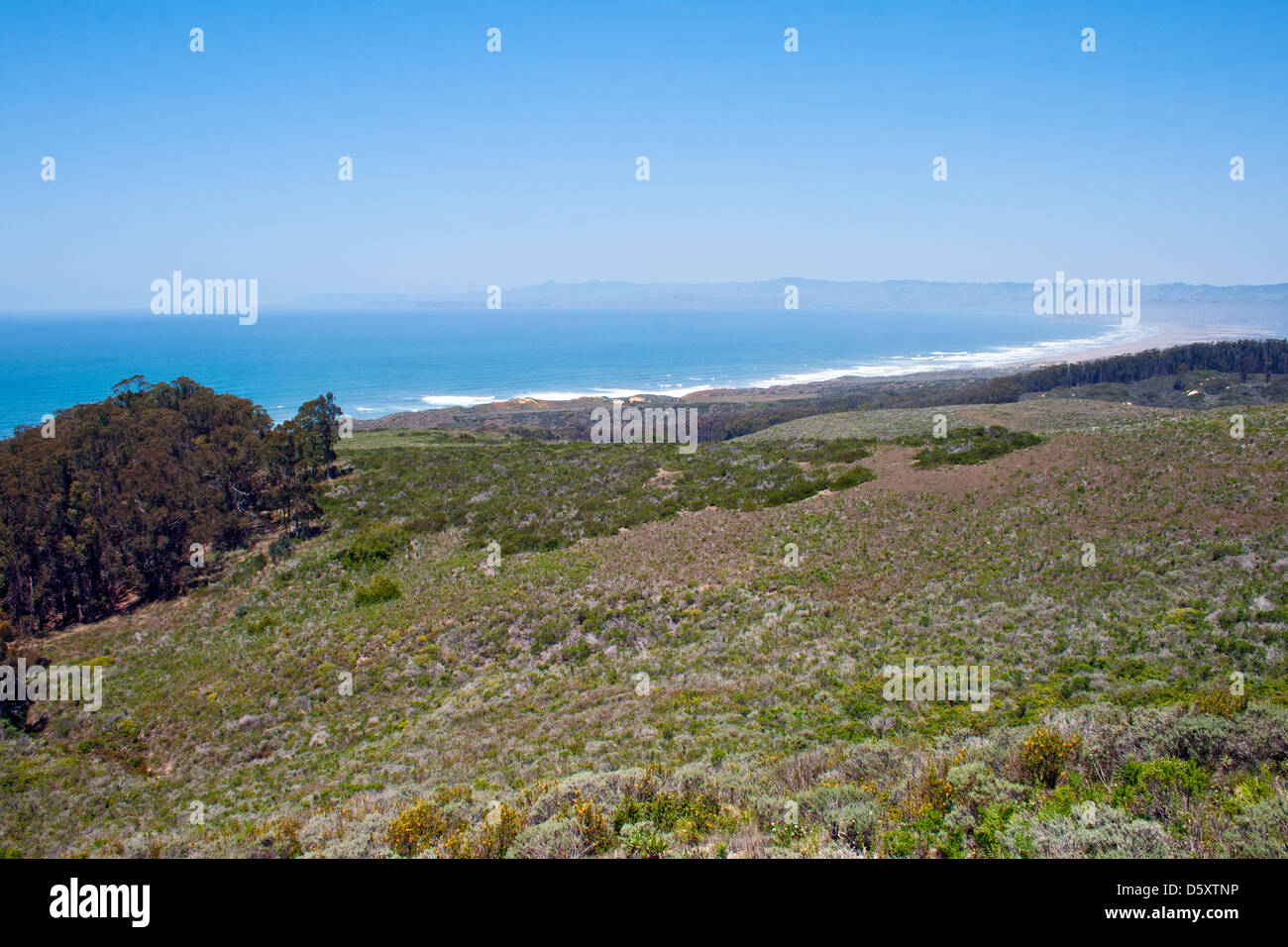 Montaña de Oro State Park, San Luis Obispo County, California, USA Stock Photo