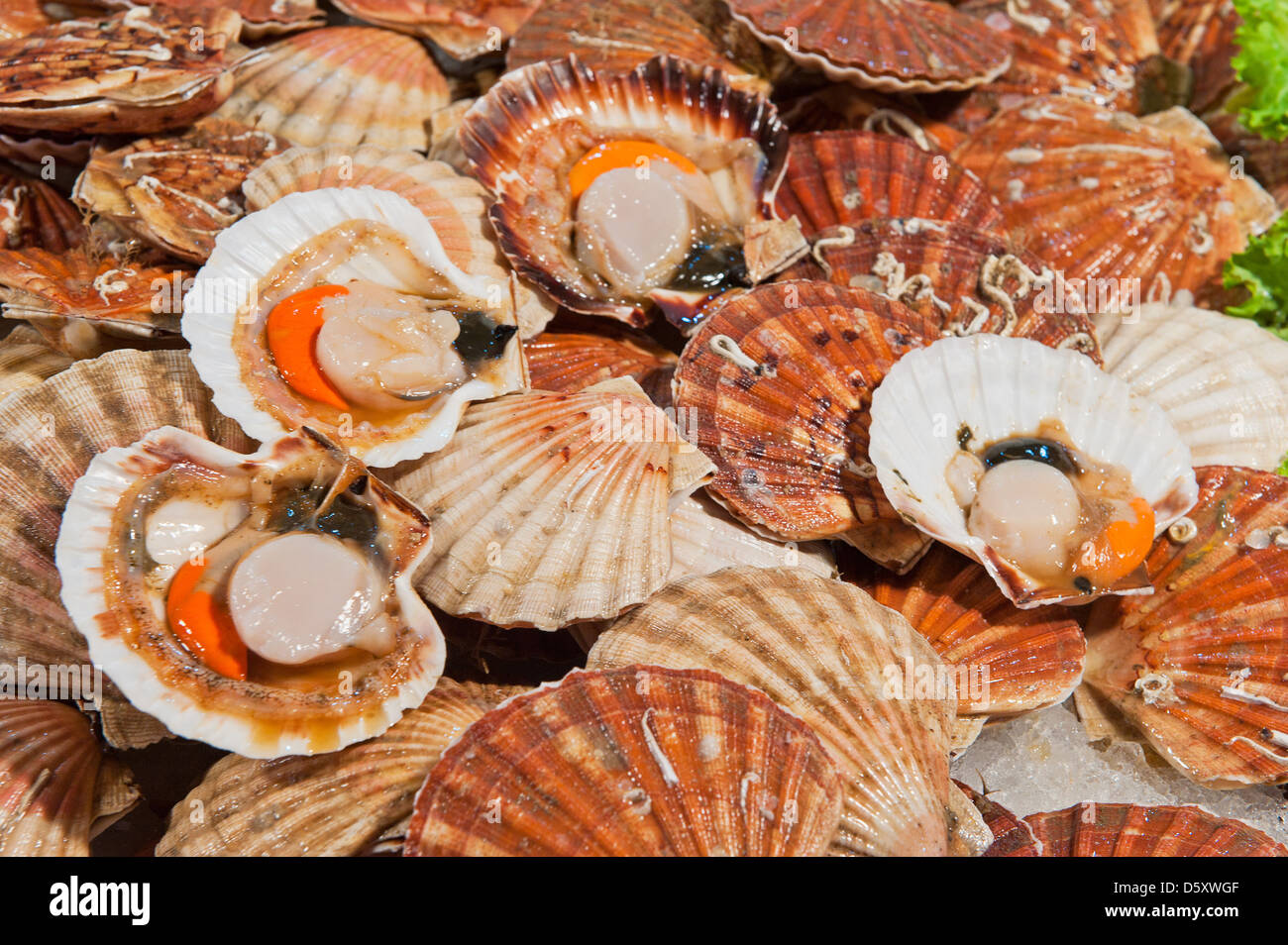 Scallops fish hires stock photography and images Alamy