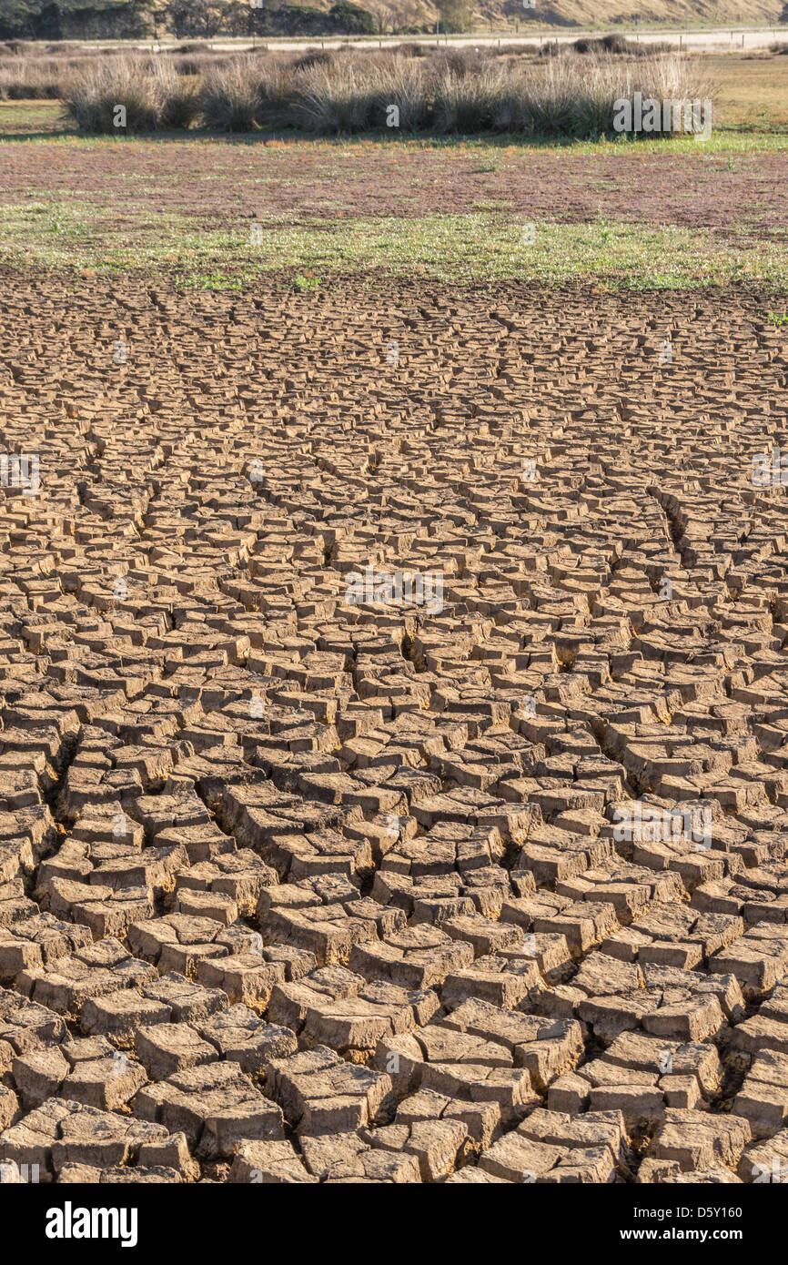 Lake Ellesmere, near Christchurch, New Zealand. 10th April 2013. Increasing areas of lakebed are exposed and drying out at Lake Ellesmere, near Christchurch, as the long drought continues in New Zealand. Unlike many areas of the North Island, Canterbury has not yet been officially declared in drought. Credit: ScotStock / 17�Թ����� Live News Stock Photo