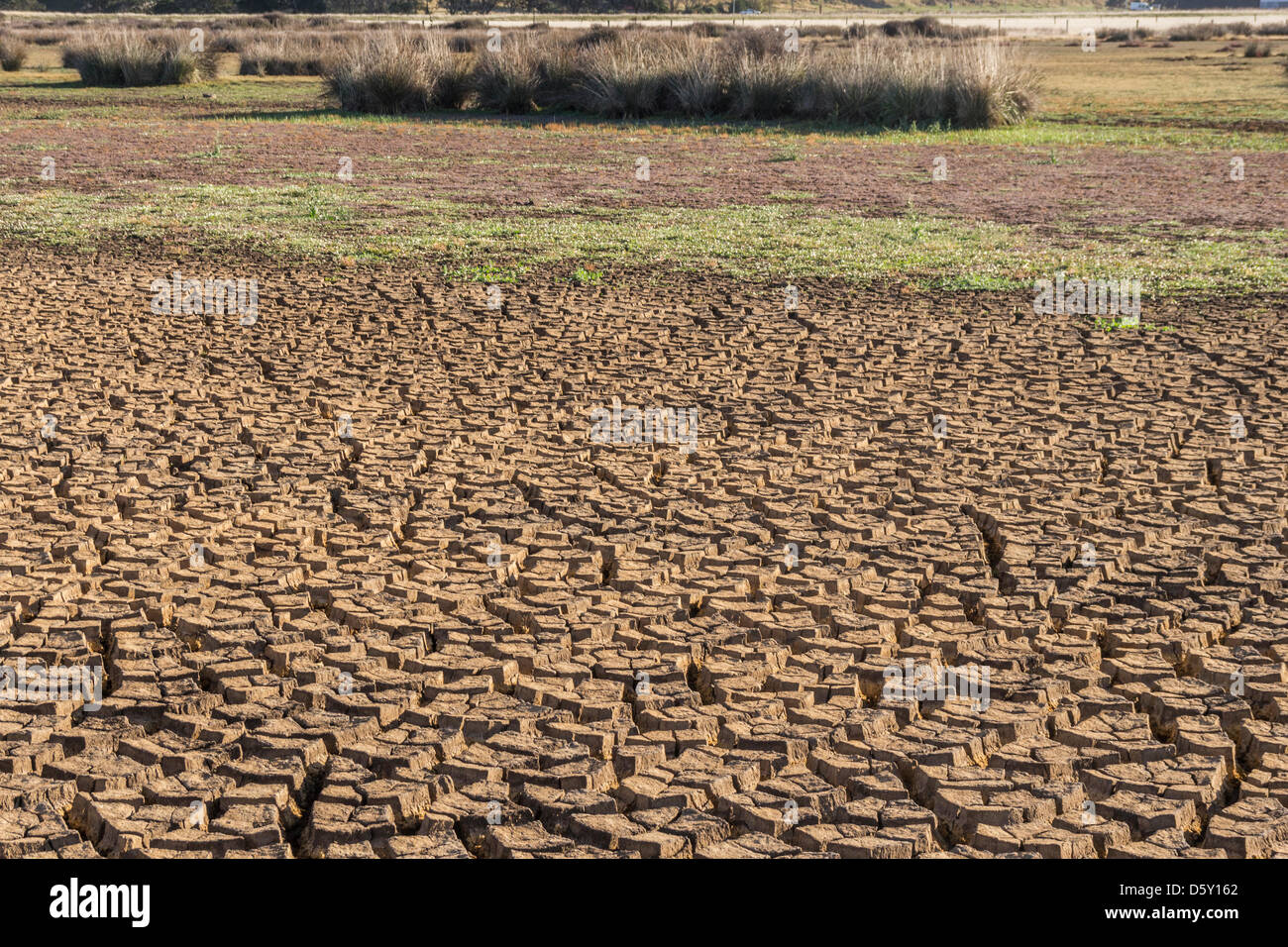 Lake Ellesmere, near Christchurch, New Zealand. 10th April 2013. Increasing areas of lakebed are exposed and drying out at Lake Ellesmere, near Christchurch, as the long drought continues in New Zealand. Unlike many areas of the North Island, Canterbury has not yet been officially declared in drought. Credit: ScotStock / 17�Թ����� Live News Stock Photo