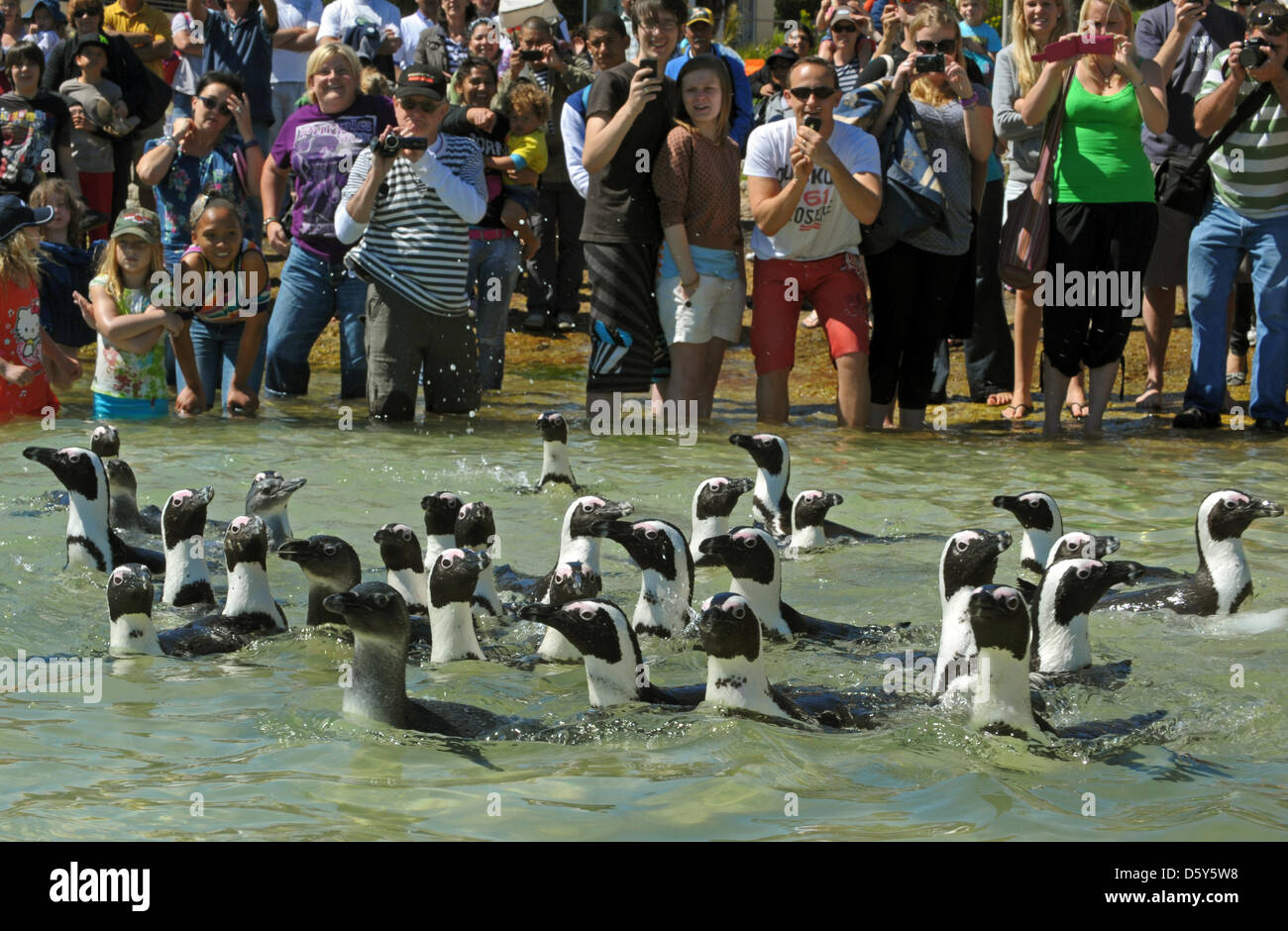 Founded in 1968 hi-res stock photography and images - Alamy