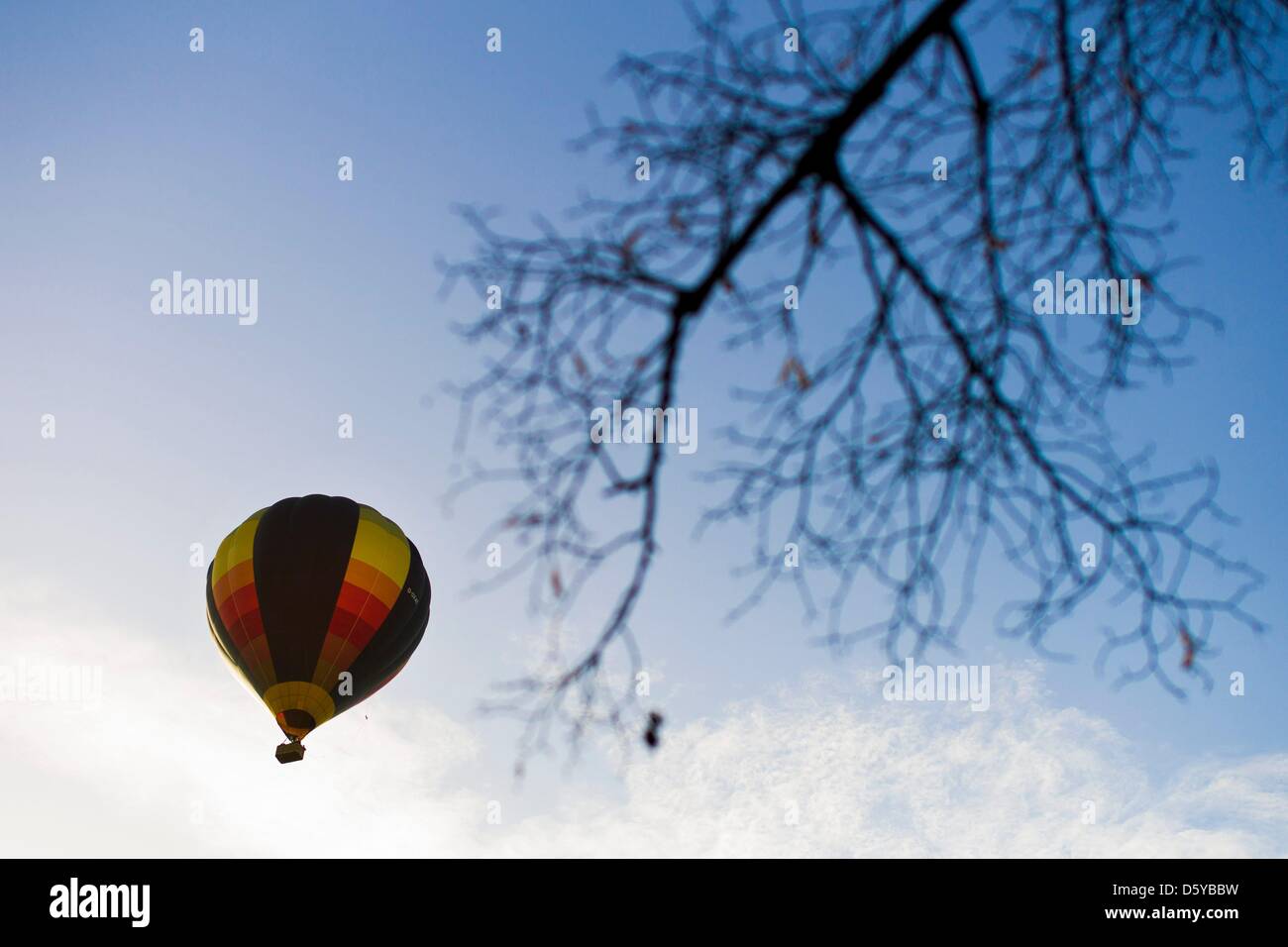 A balloon ascends behind a tree, which has already lost its leaves, in Cologne, Germany, 21 October 2012. Photo: Rolf Vennenbernd Stock Photo