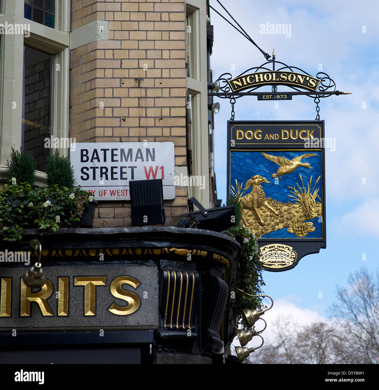 The Dog and Duck Tdaditional London Pub, Bateman Street and Frith Street Soho Stock Photo