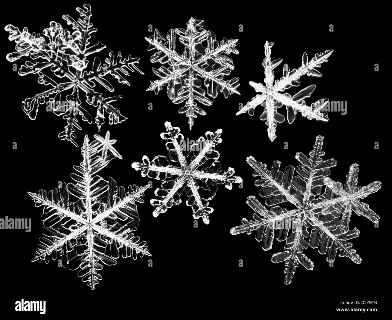 Set of isolated white snowflakes at black background Stock Photo - Alamy