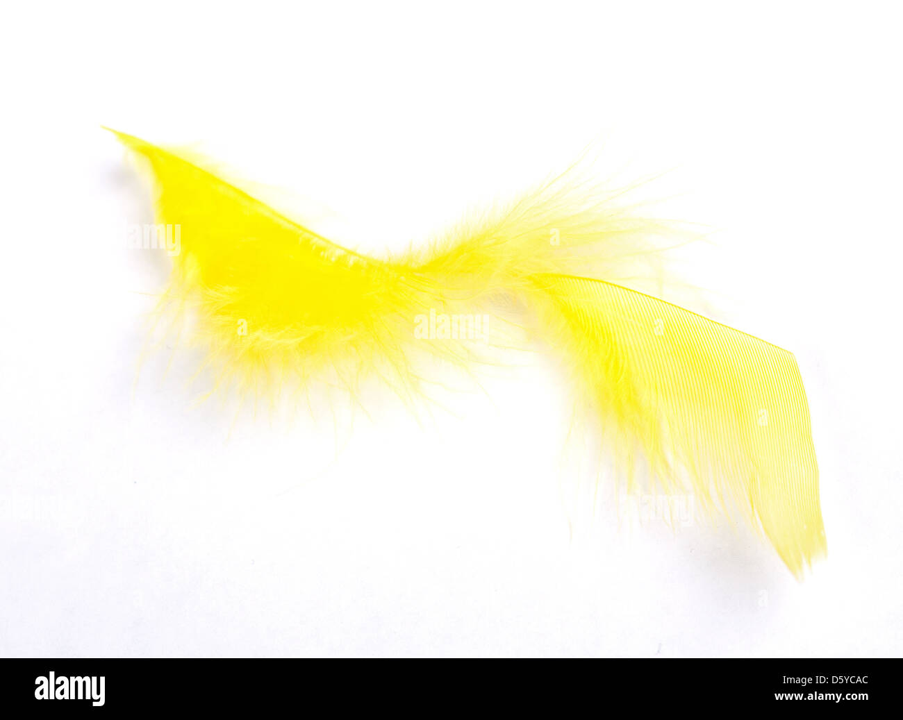 Yellow feathers on white background Stock Photo - Alamy