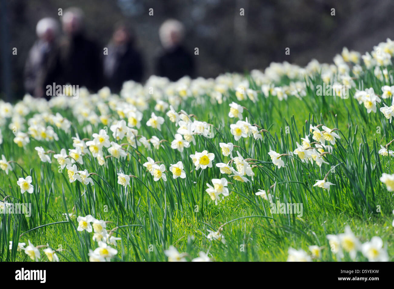 People take a walk on Easter Sunday at Britzer Garten (park) in Berlin