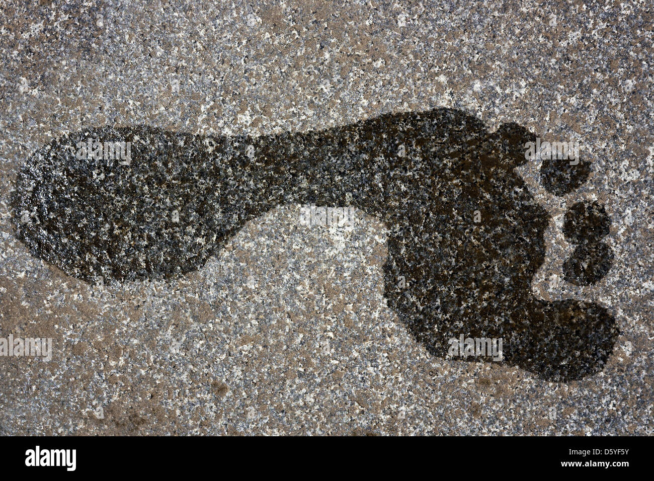 Wet footprint on floor hi-res stock photography and images - Alamy