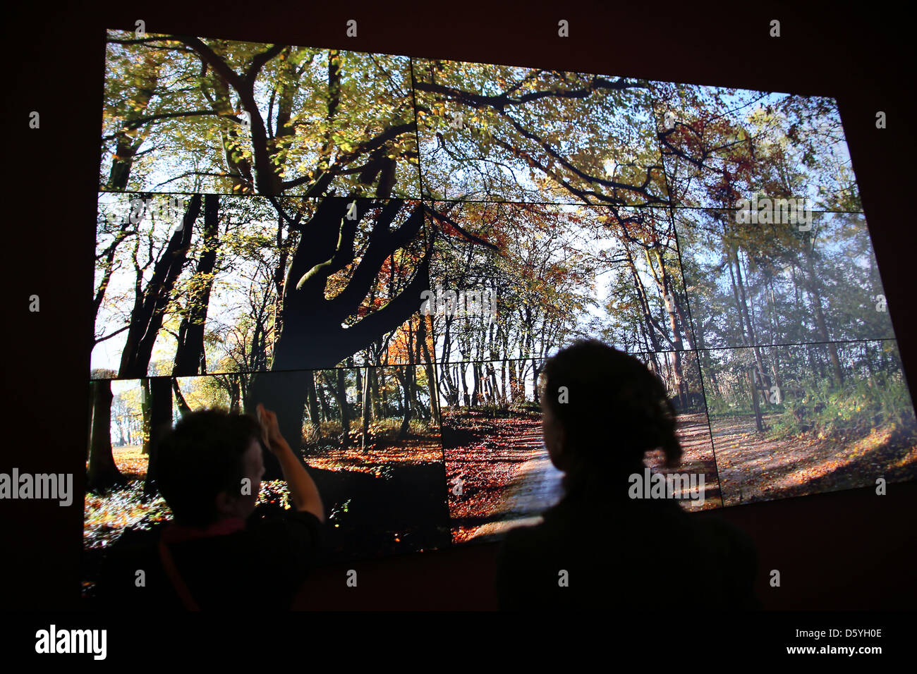 Visitor observe a video installation by artist David Hockney at Museum Ludwig in Cologne, Germany, 25 October 2012. The exhibition 'David Hockney - A Bigger Picture' is presented at Museum Ludwig between 27 October 2012 and 03 February 2013. Photo: Oliver Berg (ATTENTION: For editorial use only in connection to reports on the exhibition) Stock Photo