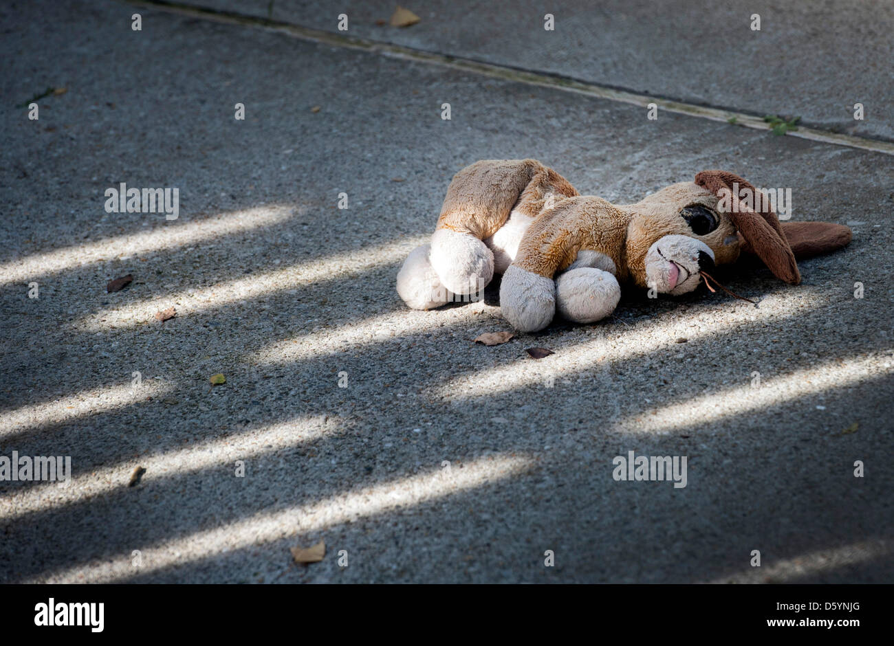 A Cuddly Toy Lies On The Floor Of A Dog Kennel At The Home For