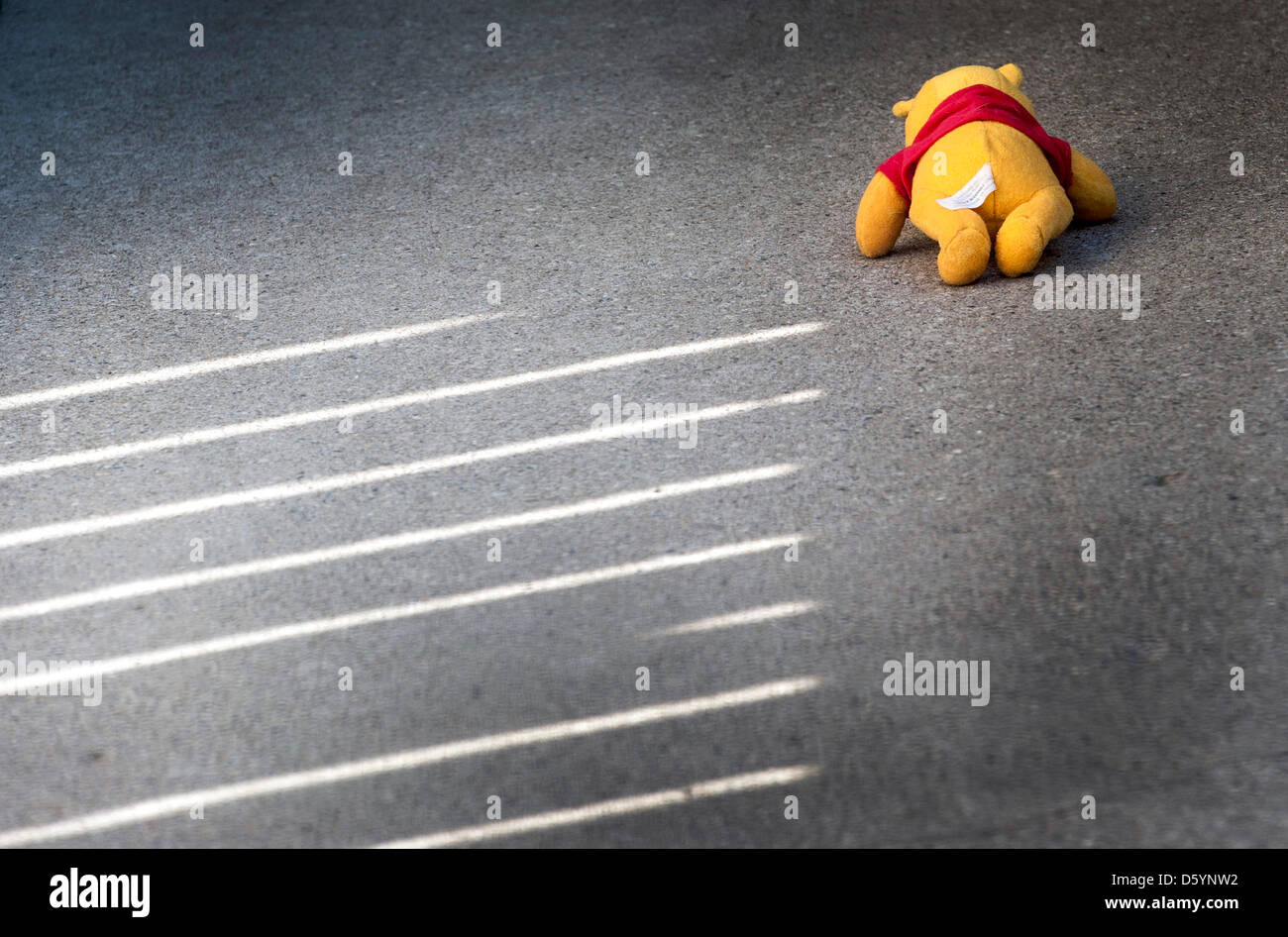 A Cuddly Toy Lies On The Floor Of A Dog Kennel At The Home For