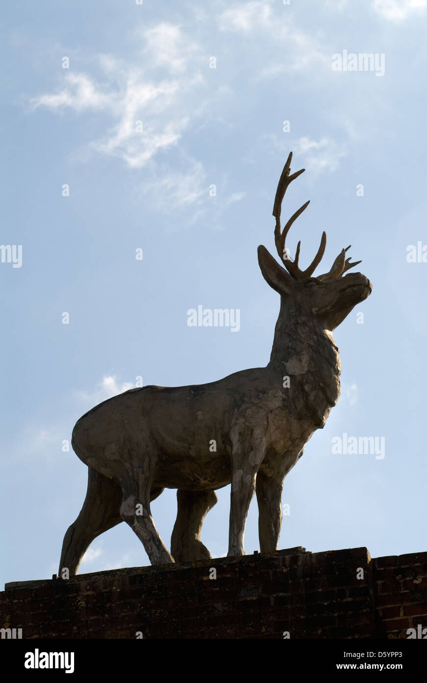 Stag on top of the Deer Park, Stag Gate on the Drax estate at the village of Winterbourne Zelston, Dorset UK. HOMER SYKES Stock Photo