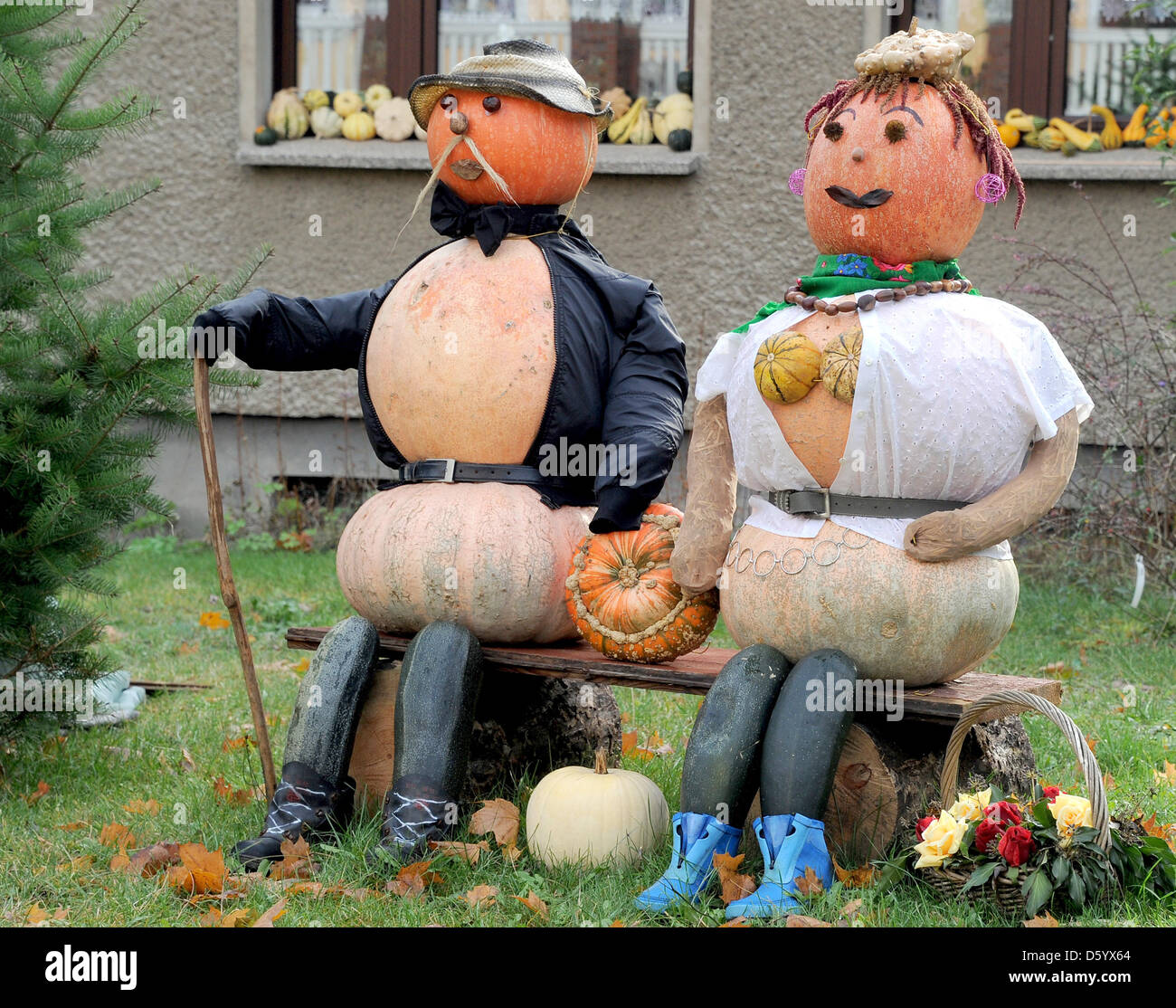 A pumpkin couple is pictured in Haage, Germany, 1 November 2012. Photo: Bernd Settnik Stock Photo