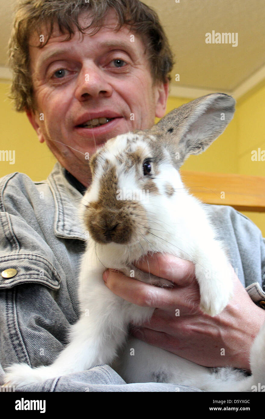 Michael Thiel, employee of the animal shelter Krambambuli holds a rabbit  that is currently hosted for care in Goerlitz, Germany, 5 November 2012. A  citizen of Goerlitz had found the living animal