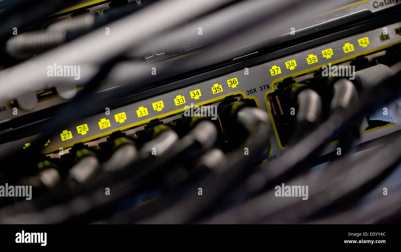 Network cables are pictured in a server room in Berlin, Germany, 05