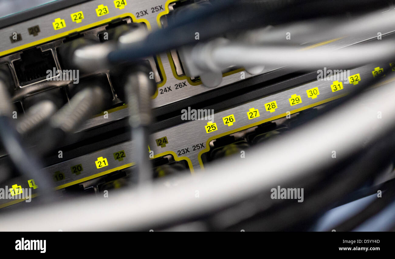 Network cables are pictured in a server room in Berlin, Germany, 05