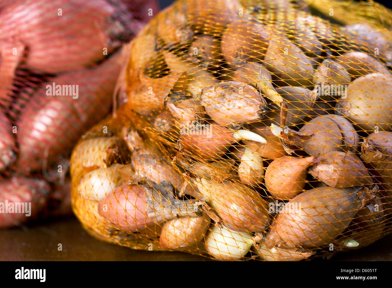 Onion and Shallot bulbs in netted bags. Stock Photo