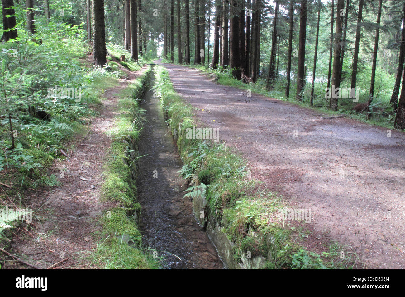A ditch is part of the Upper Harz Water Regale Stock Photo Alamy
