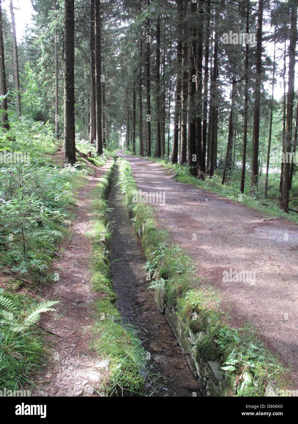 A ditch is part of the Upper Harz Water Regale Stock Photo