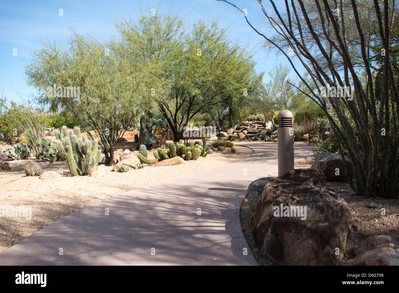 Mayo Clinic Phoenix campus Stock Photo Alamy