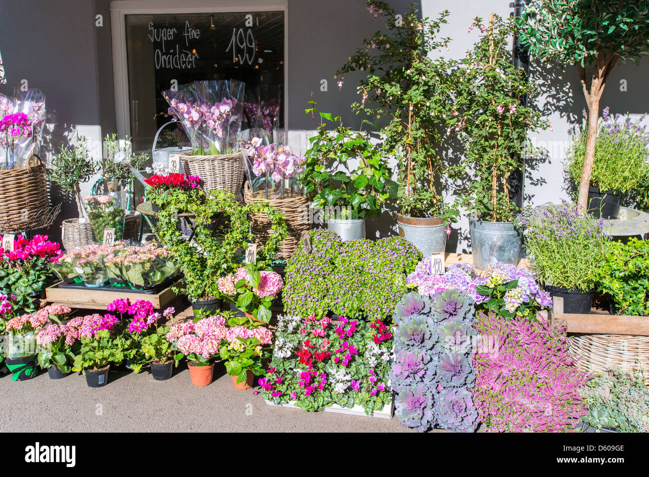Flower shop Stock Photo