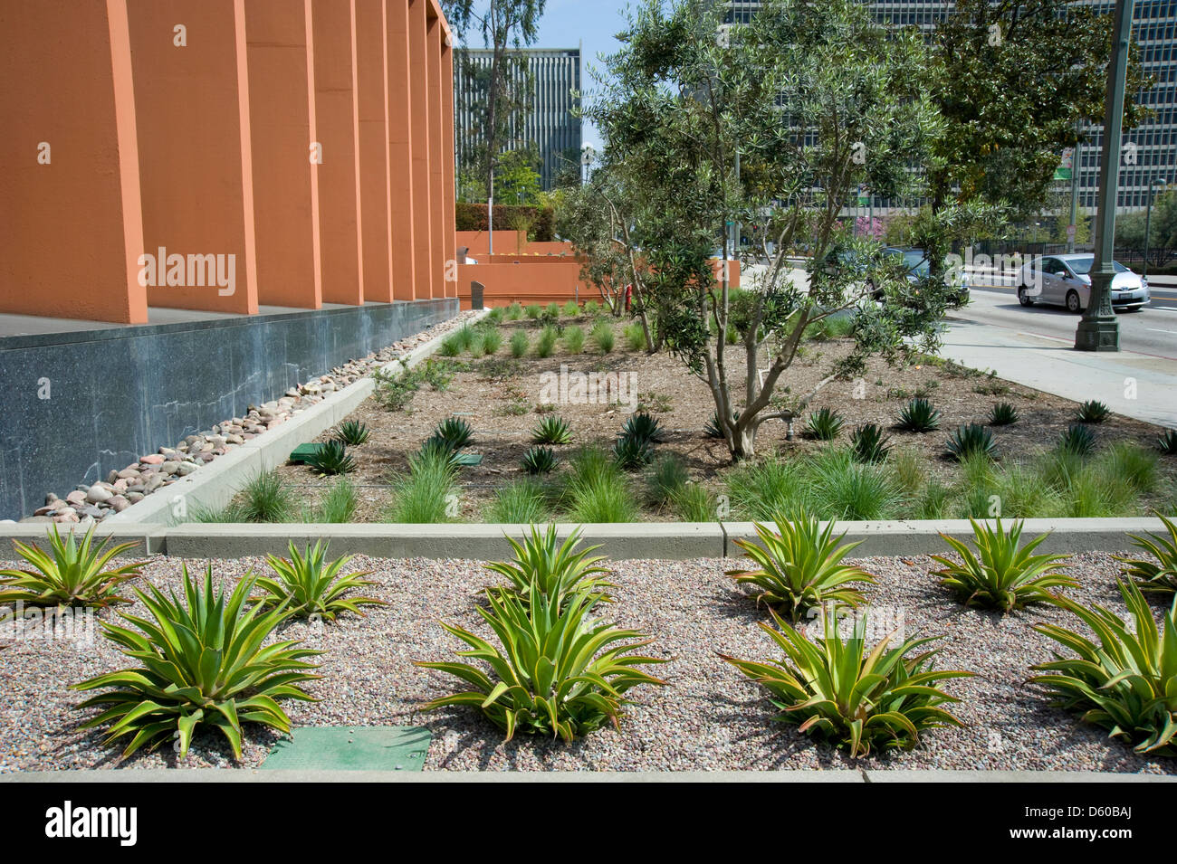 Garden landscaping in downtown Los Angeles Stock Photo