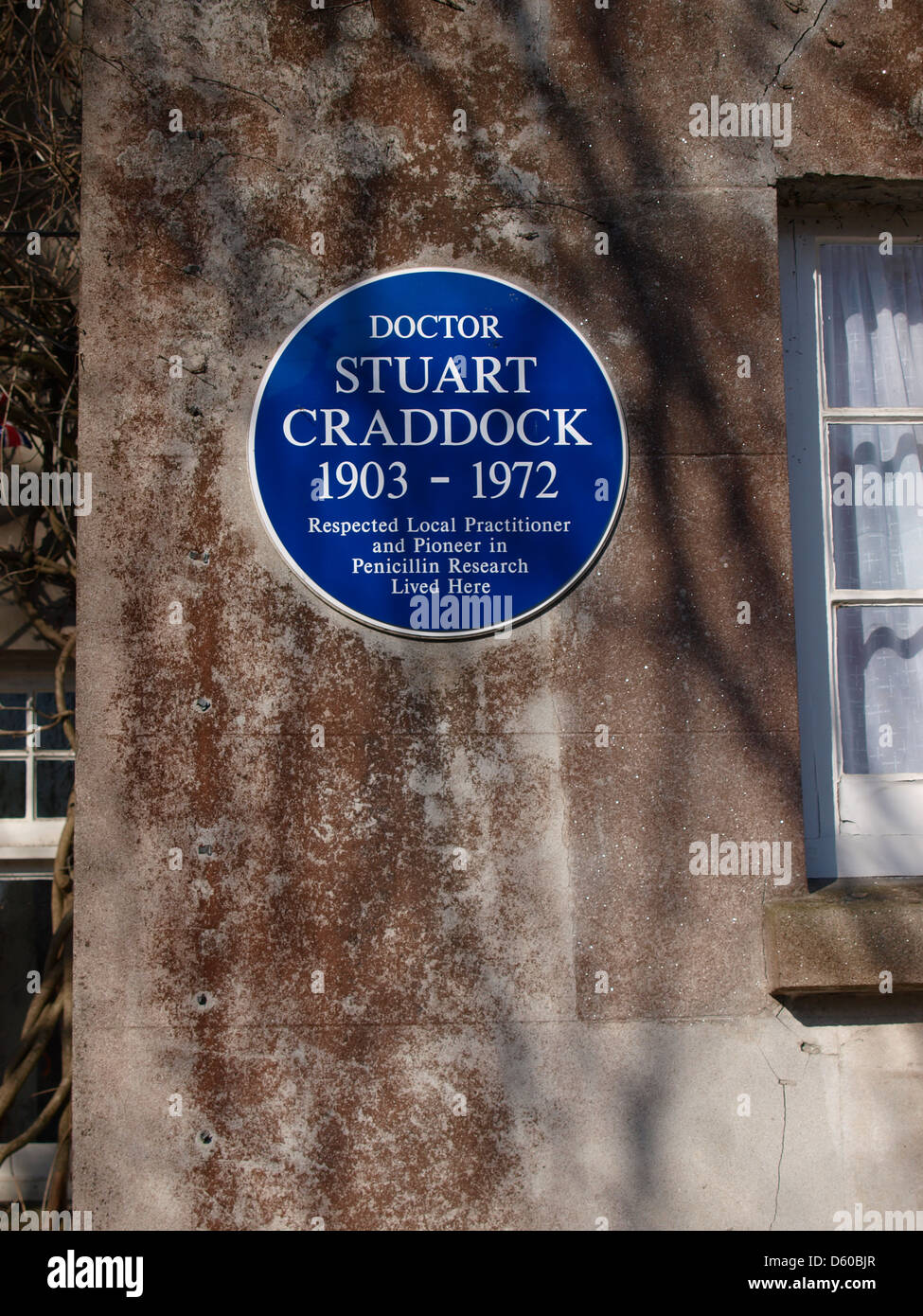 Blue plaque to commemorate Doctor Stuart Craddock, pioneer in Penicillin Research, Holsworthy, Devon, UK 2013 Stock Photo