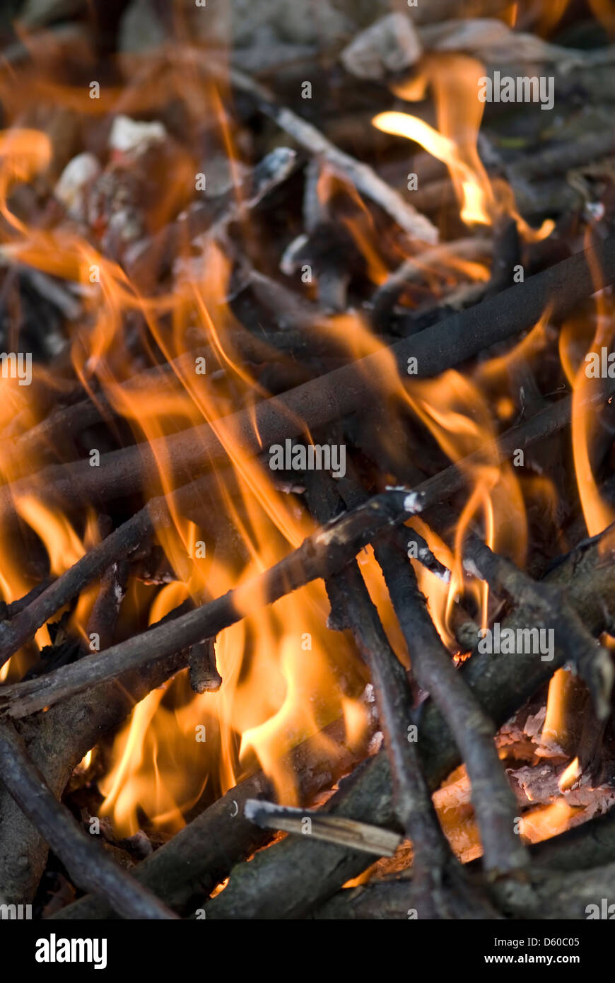 Wood burning on a fire with orange hot flames Stock Photo