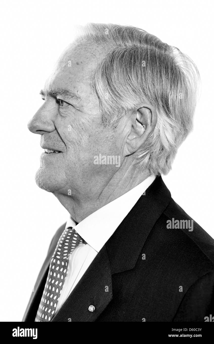 Consultant, Consulting, Strategy Consulting, economy, world economy, Roland Berger Foundation Stock Photo