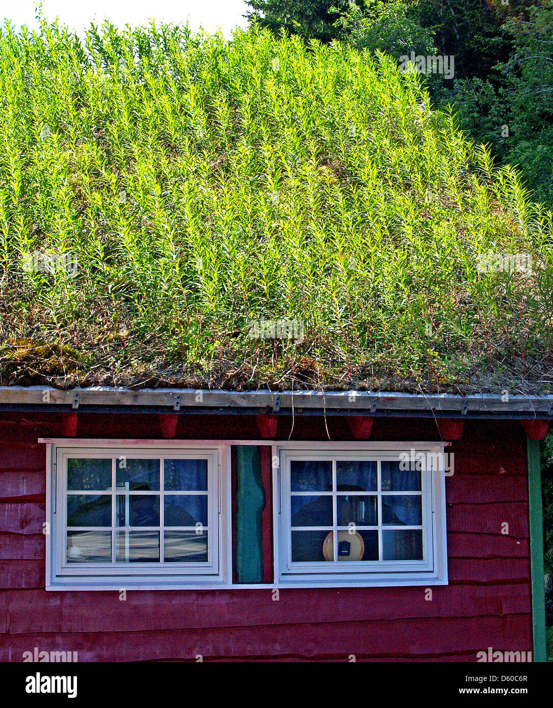 A sod grass roof atop a red clapboard building,Norway Stock Photo Alamy