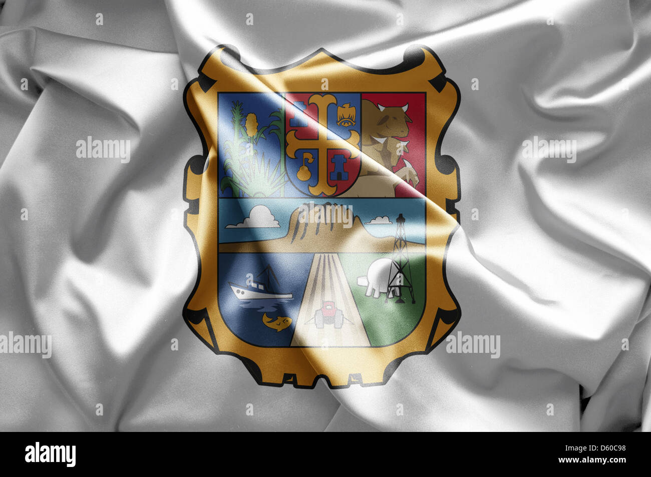 Mapa De Tamaulipas Grande Para Pared