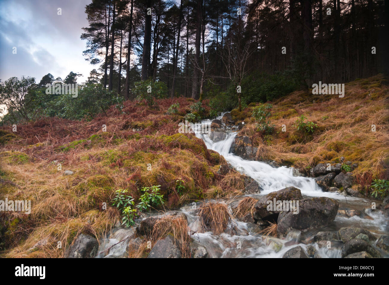 One of the many small burns in Glen Etive Scotland Stock Photo