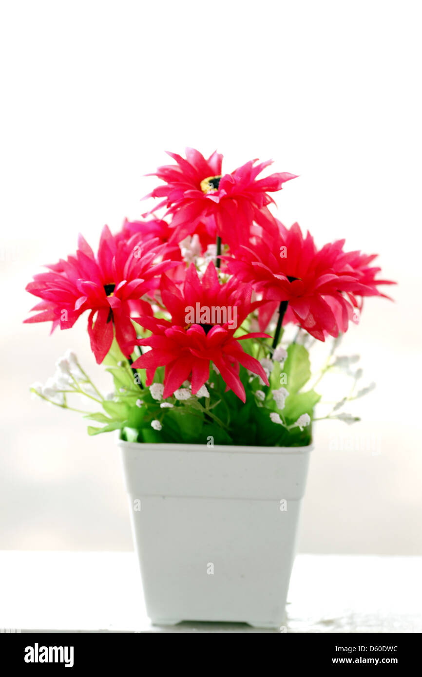 Pink Flowers in a white vase and Colorful Flowers Stock Photo - Alamy