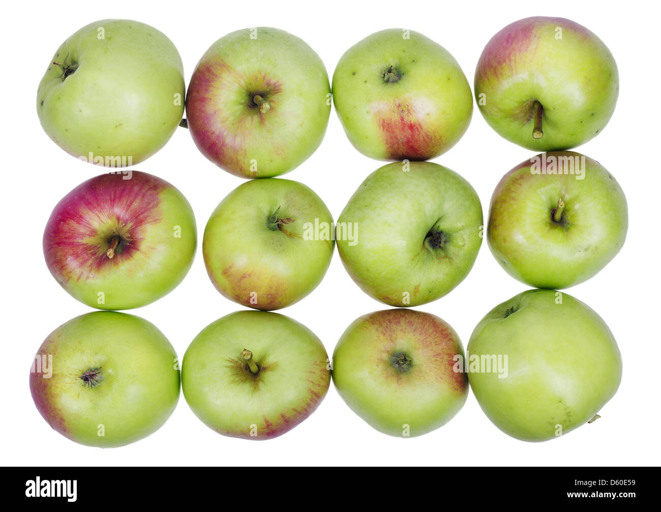 A dozen ordinary green  apples Stock Photo