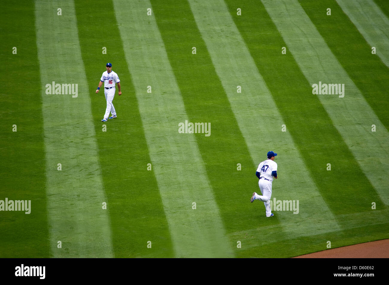 Los Angeles Dodgers players run in the outfield as part of pre-game conditioning. Stock Photo
