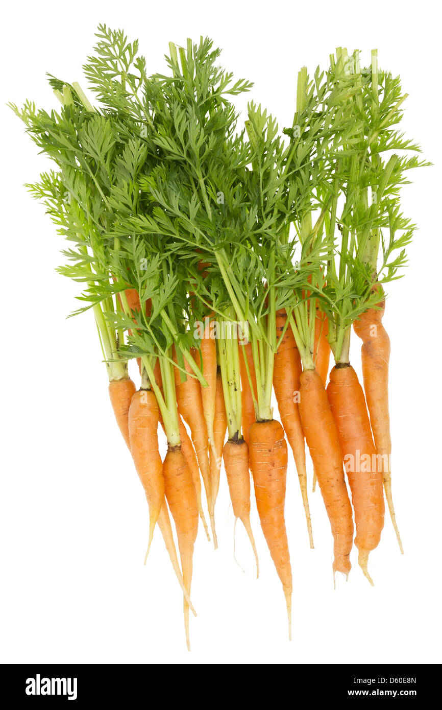Rural ecological ugly carrot Stock Photo