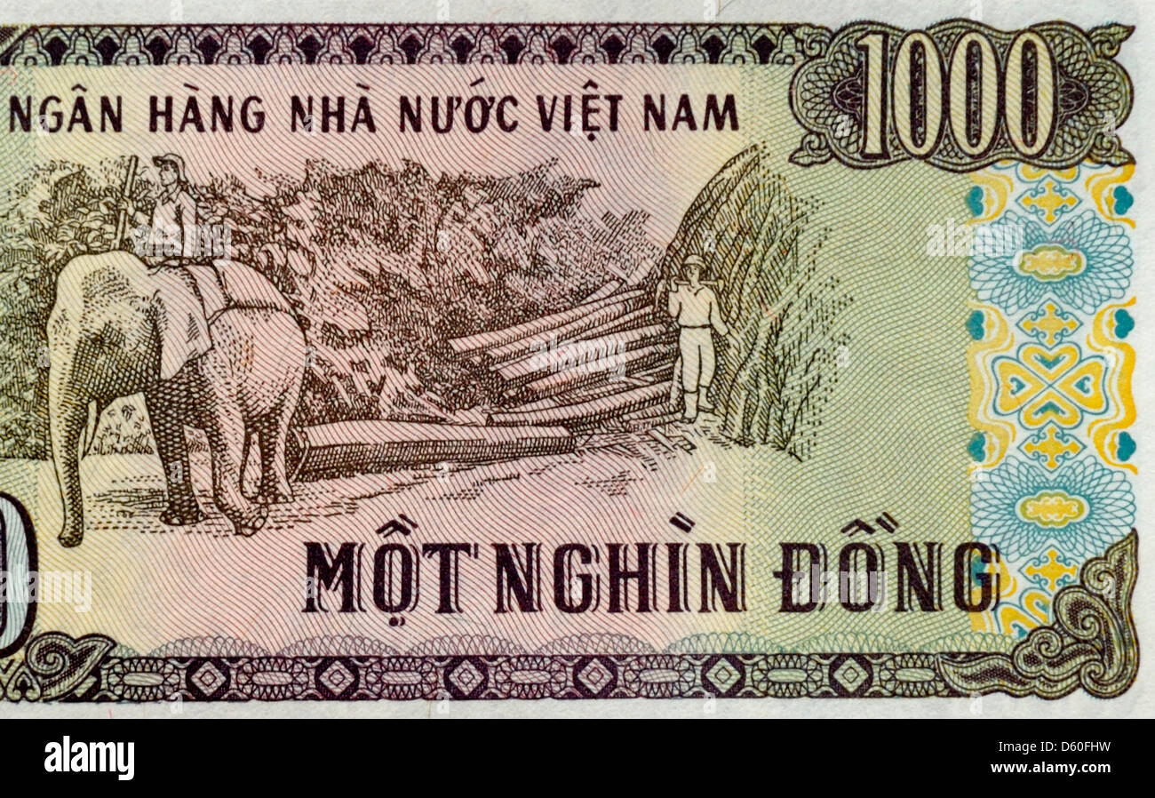 vietnam-1000-one-thousand-dong-bank-note-stock-photo-alamy