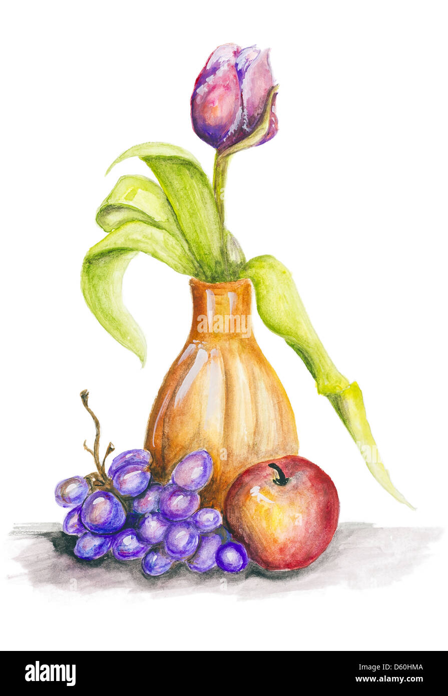 Tulip and fruits still life Stock Photo Alamy