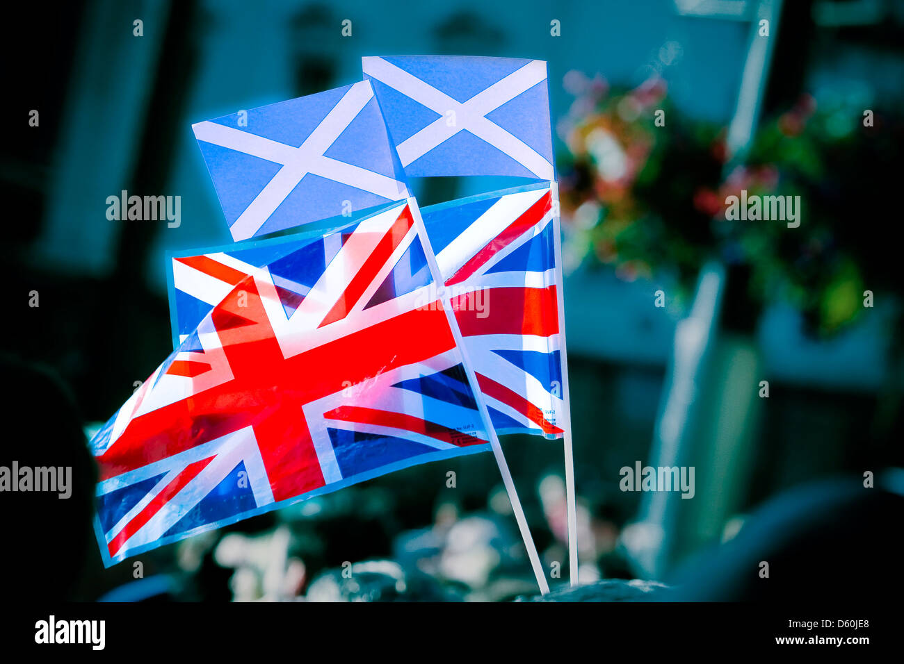 St Andrew's saltire and Union Jack flags Stock Photo