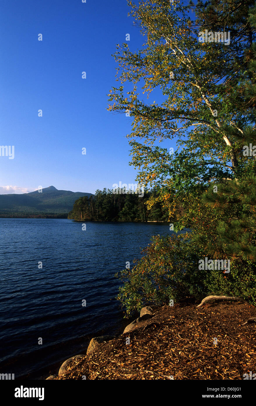 Elk2811368v New Hampshire, White Mountains, Lake Chocorua, sunset
