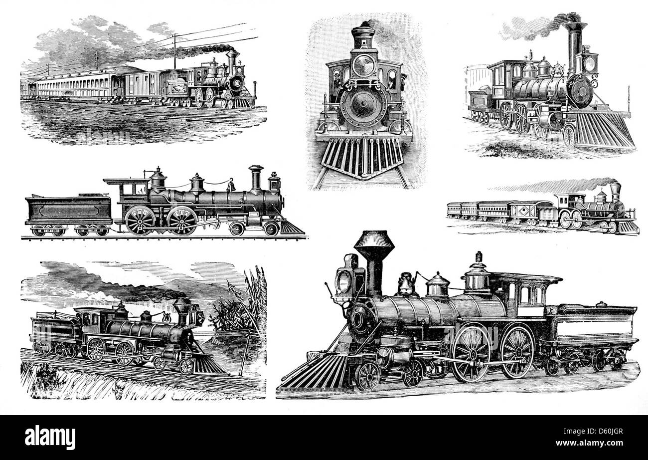This image shows a section from a 1900 catalog featuring type specimens ...