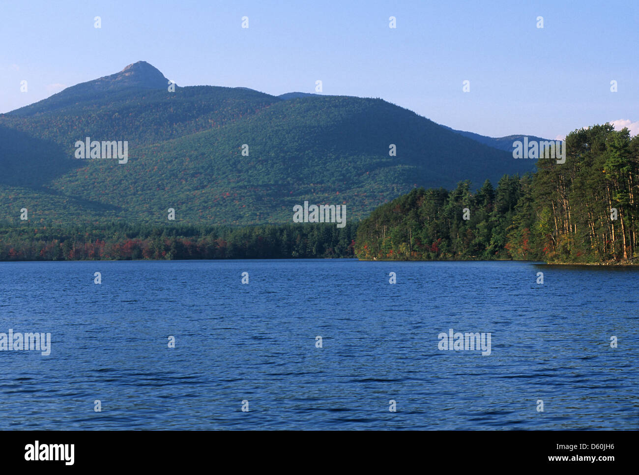 Elk2811370 New Hampshire, White Mountains, Lake Chocorua, landscape Stock Photo Alamy