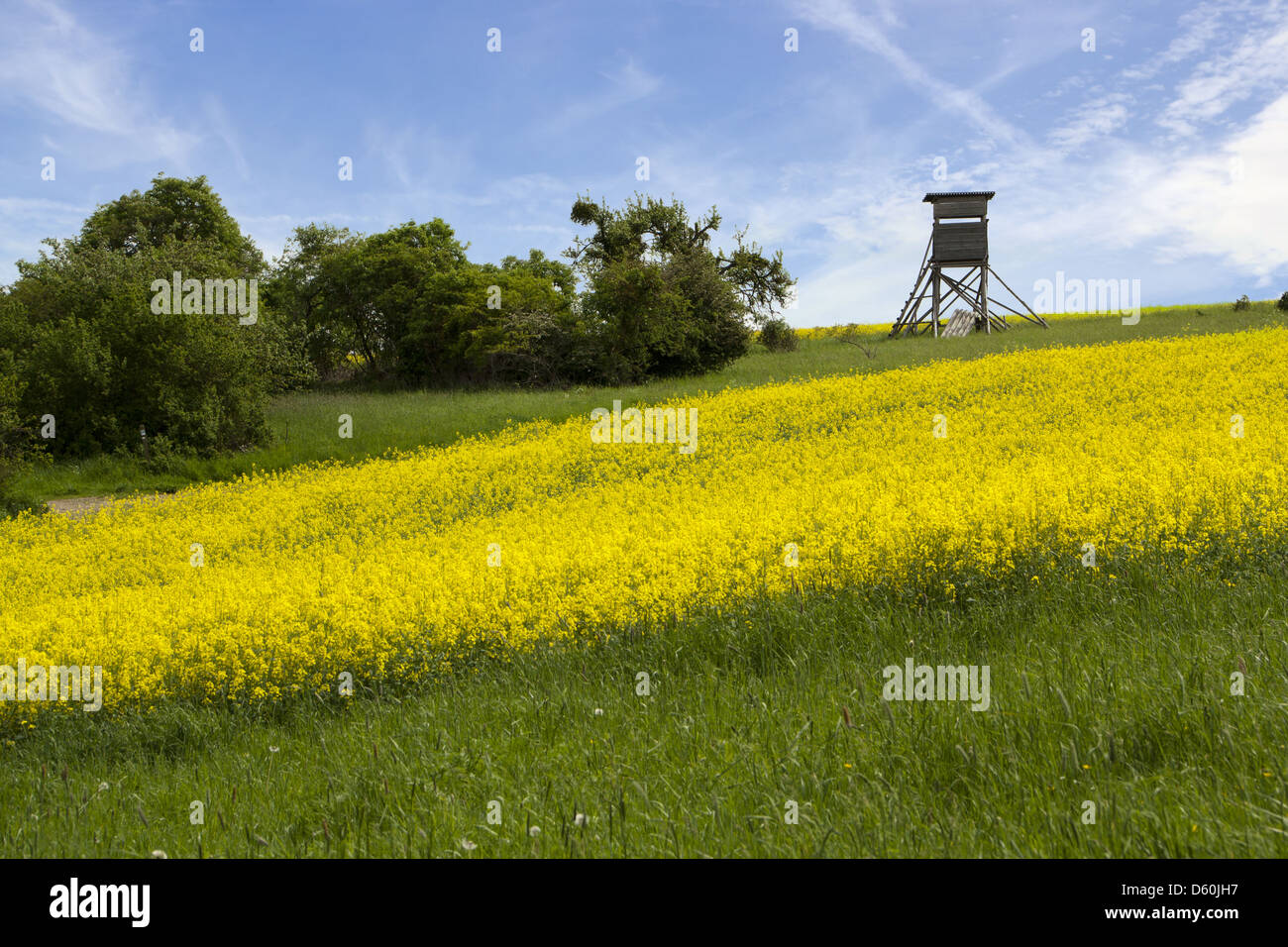 landscape with raised stand Stock Photo