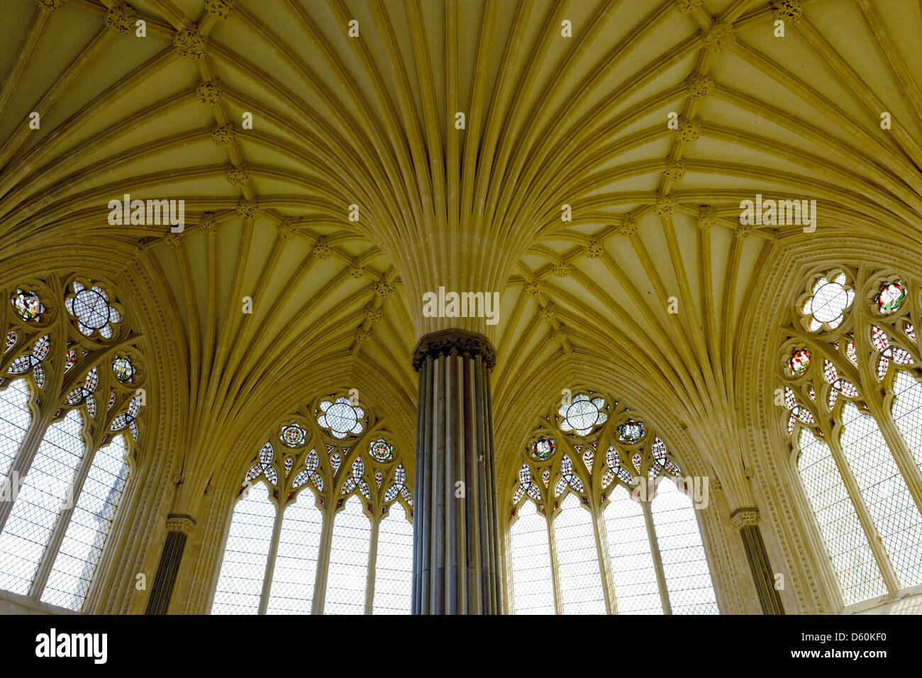 Vaulted ceiling in the Chapter House, Wells Cathedral, Somerset, England Stock Photo