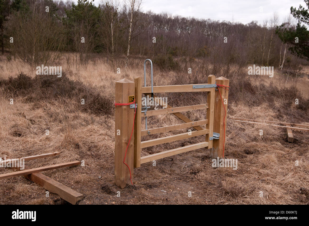 Gate and Fencing being errected for livestock control Chobham Common Chobham Surrey England UK