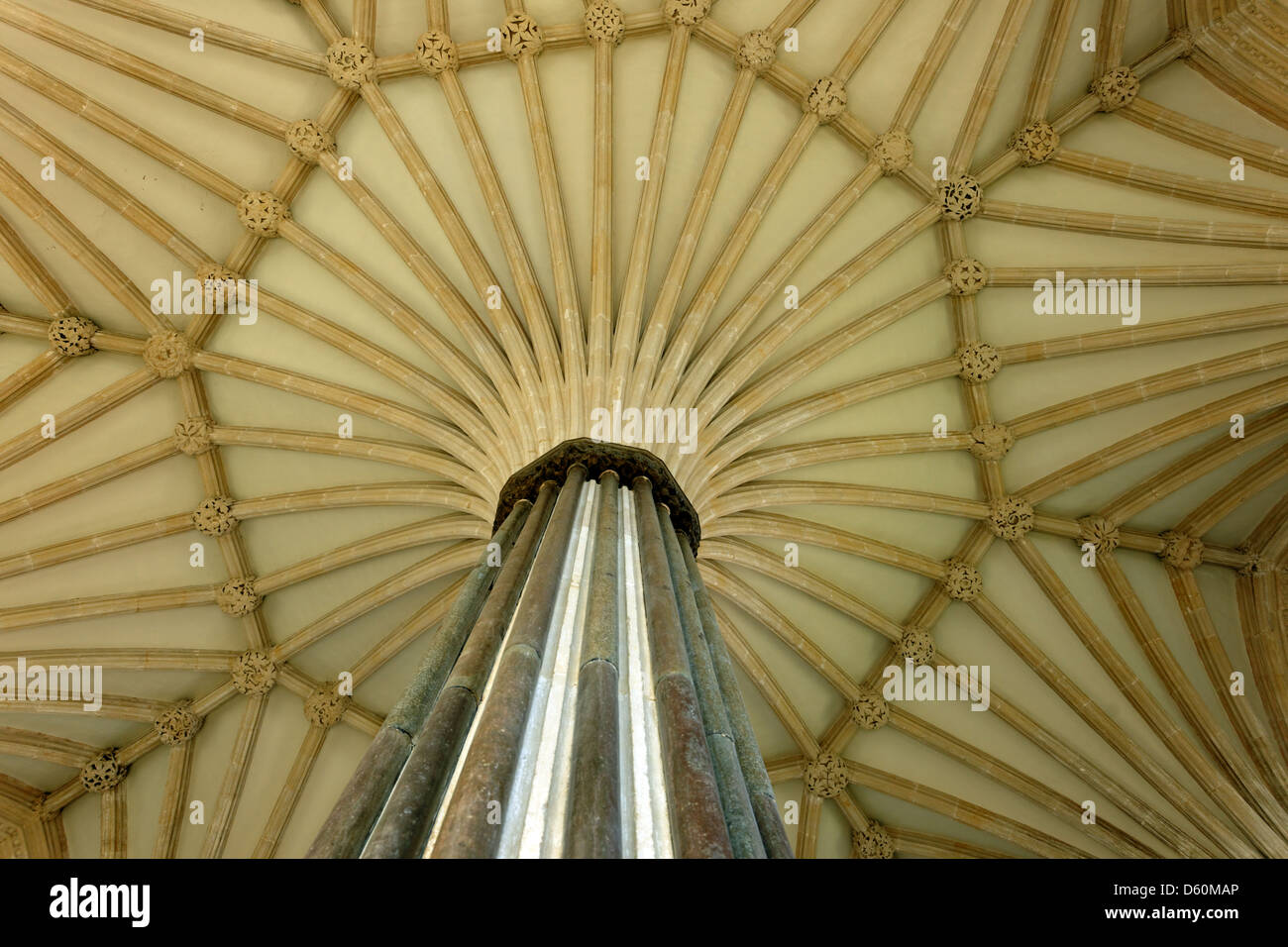 Vaulted ceiling in the Chapter House, Wells Cathedral, Somerset, England Stock Photo