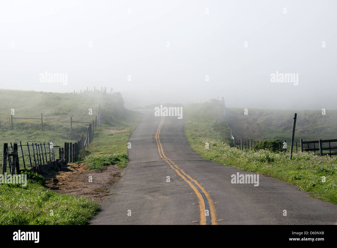 A road leads into the fog at Point Reyes National Seashore in Marin County, CA, USA. Stock Photo