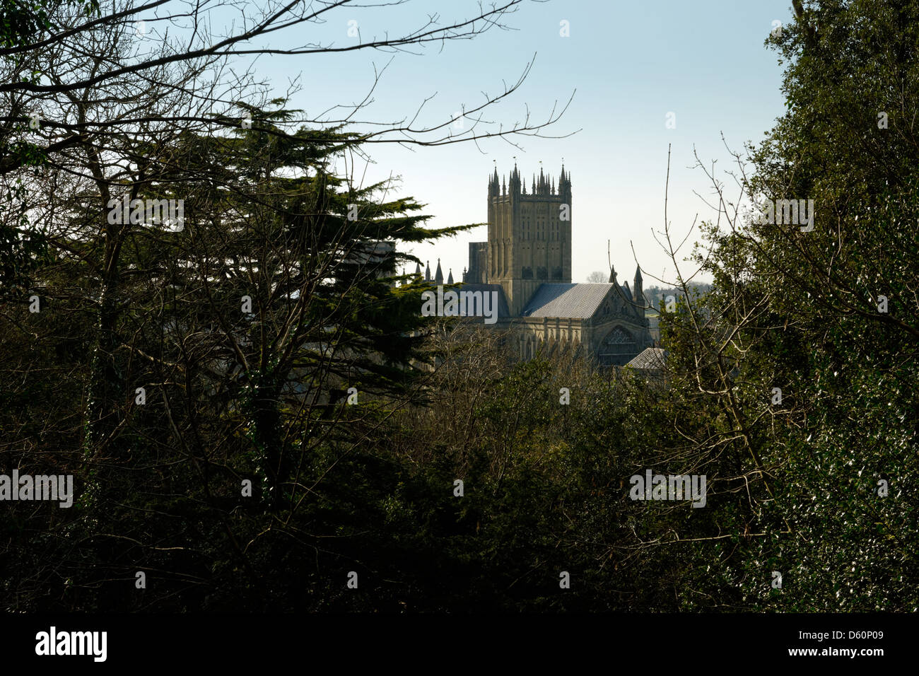 View of Wells Cathedral, Somerset, from Tor Hill Stock Photo