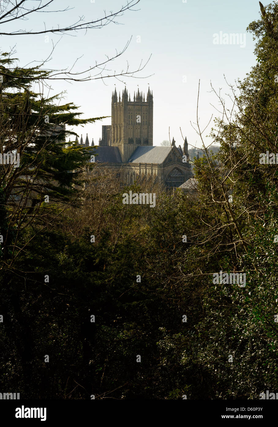 View of Wells Cathedral, Somerset, from Tor Hill Stock Photo