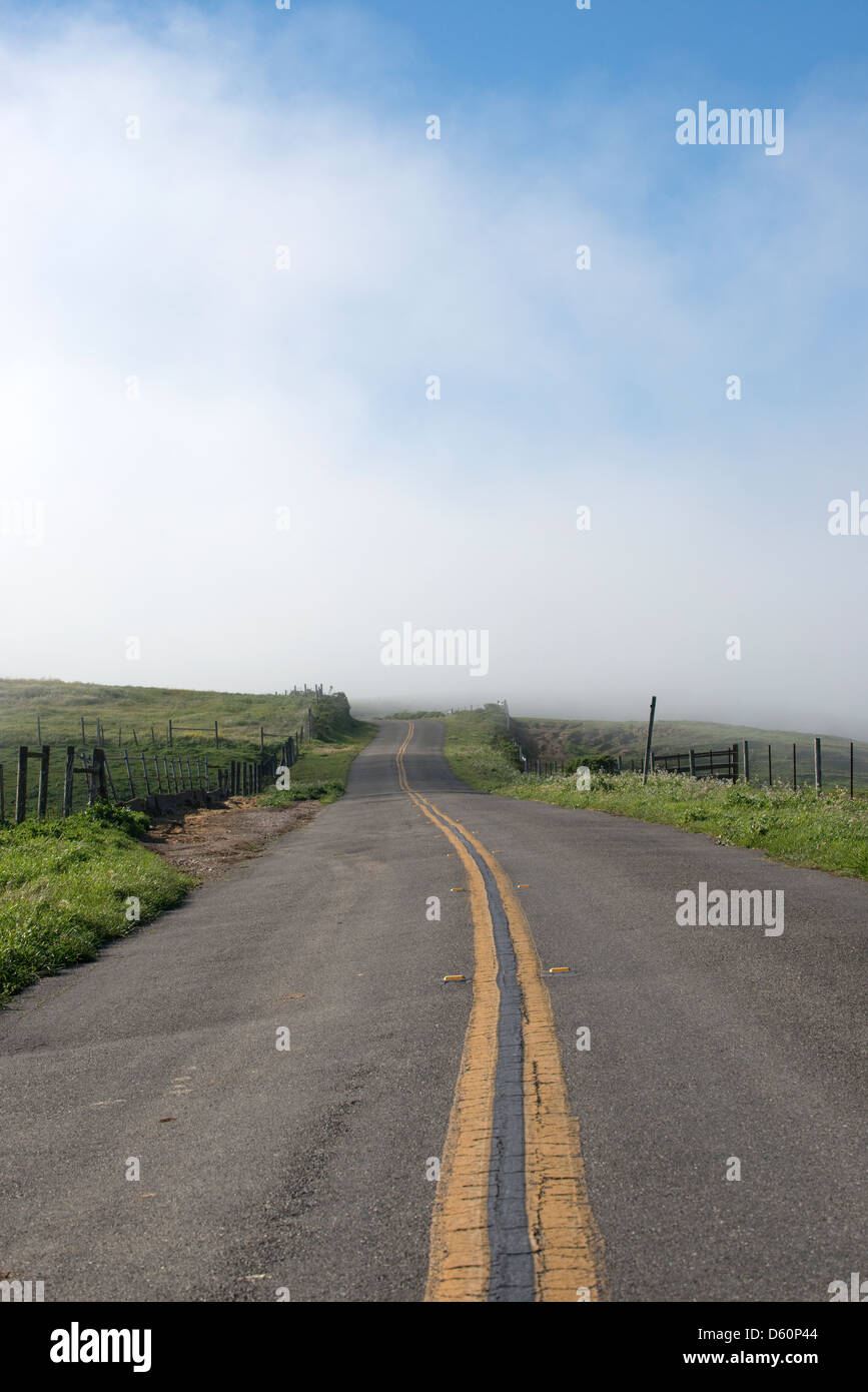 A road leads into the fog at Point Reyes National Seashore in Marin County, CA, USA. Stock Photo