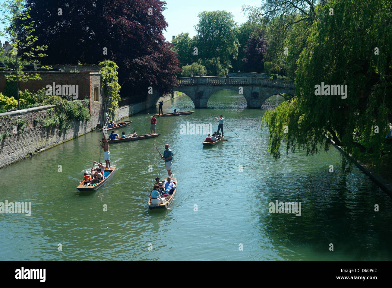 Cambridge punting, Cambridge, England,May 2010. Punting on the famous 'Backs' in the University City of Cambridge. Stock Photo